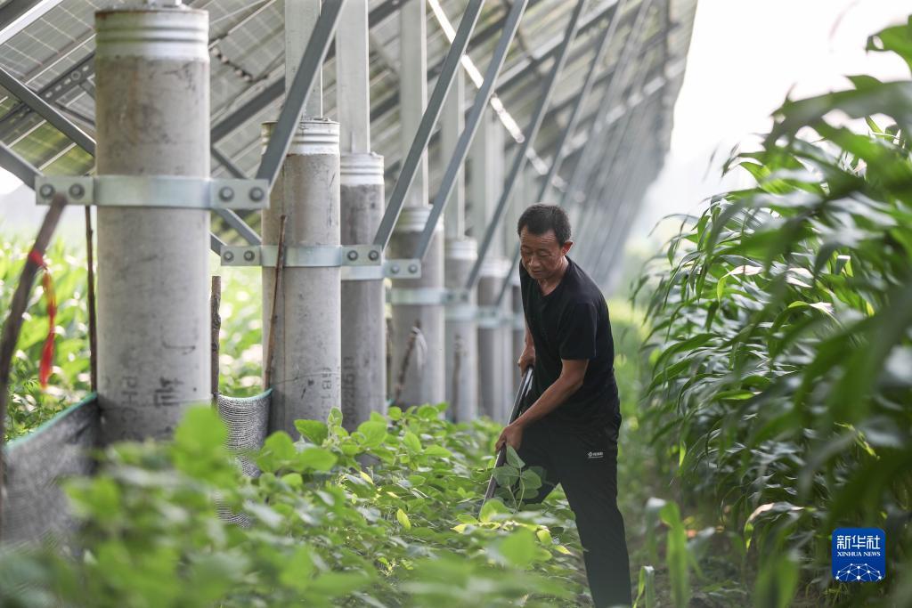 大通永利网站