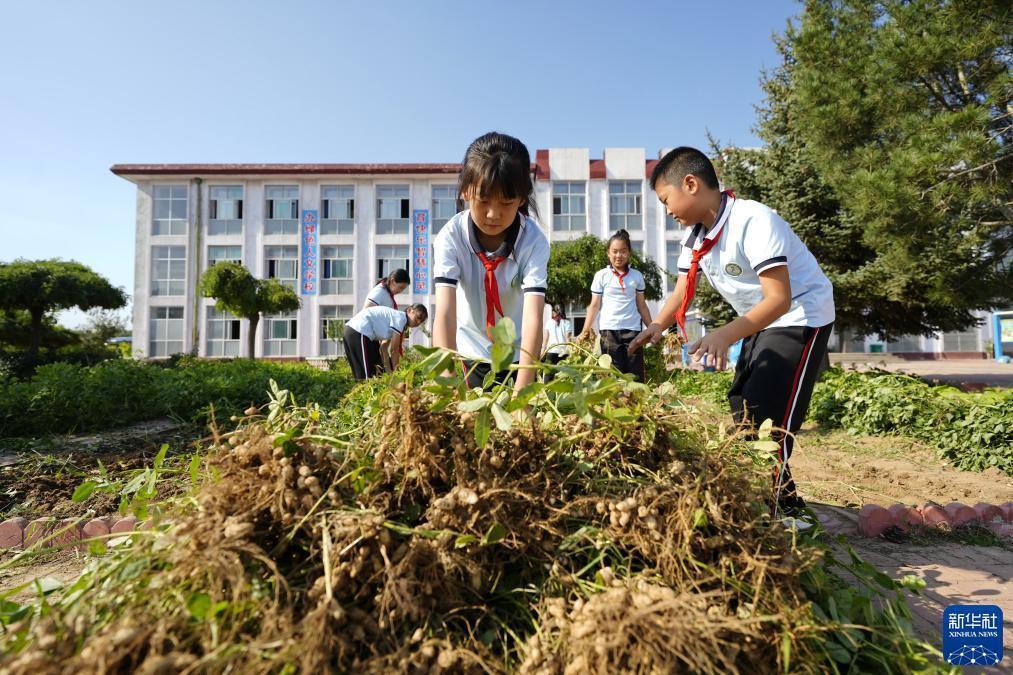 大奖888游戏平台